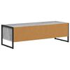 vidaXL TV Cabinet Grey Sonoma 100 x 36.5 x 30.5 cm Engineered Wood