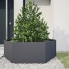 Product Thumbnail Image 2 of 10