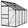 vidaXL Greenhouse | Anthracite, Transparent | Aluminium, Polycarbonate board