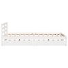 Product Thumbnail Image 5 of 12