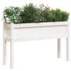 Product Thumbnail Image 4 of 11