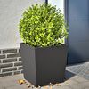 vidaXL Garden Planters Black 2 pcs 50x50x50 cm Steel