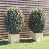 Product Thumbnail Image 2 of 9