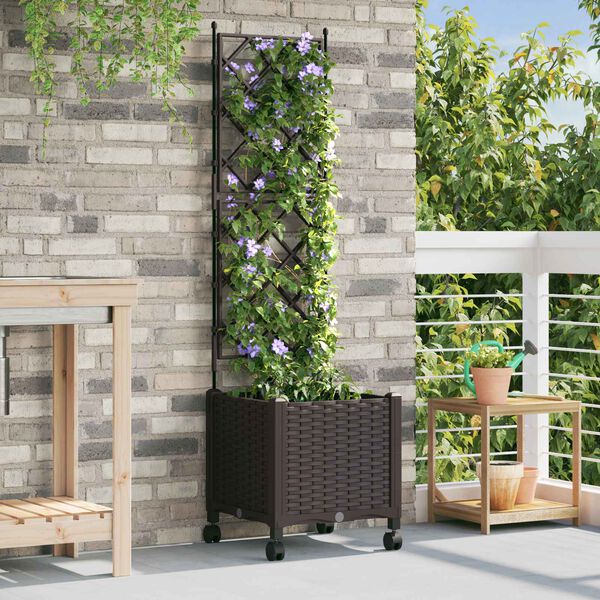 Showing Product Image 2 of 7