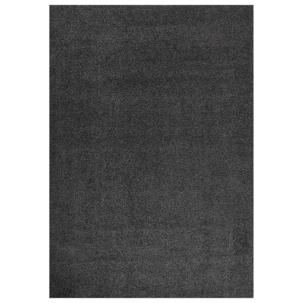 vidaXL Shaggy Rug High Pile Anthracite 140x200 cm