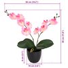 Product Thumbnail Image 5 of 5
