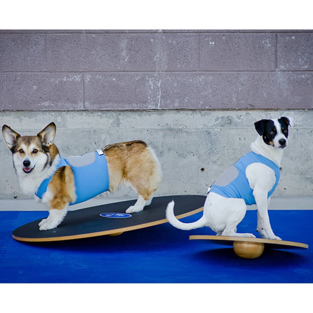 Agility wobble board deals