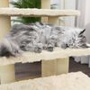 vidaXL Cat Tree with Sisal Scratching Posts Cream 63 cm