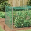 vidaXL Bird Protection Net Green 2 x 10 m Polyethylene