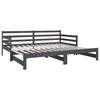 vidaXL Pull-out Day Bed without Mattress Grey 2x(80x200)cm