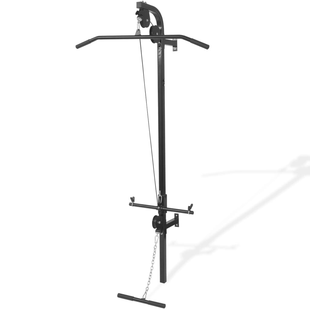 vidaXL Wall mounted Home Gym with 2 Pulleys vidaXL