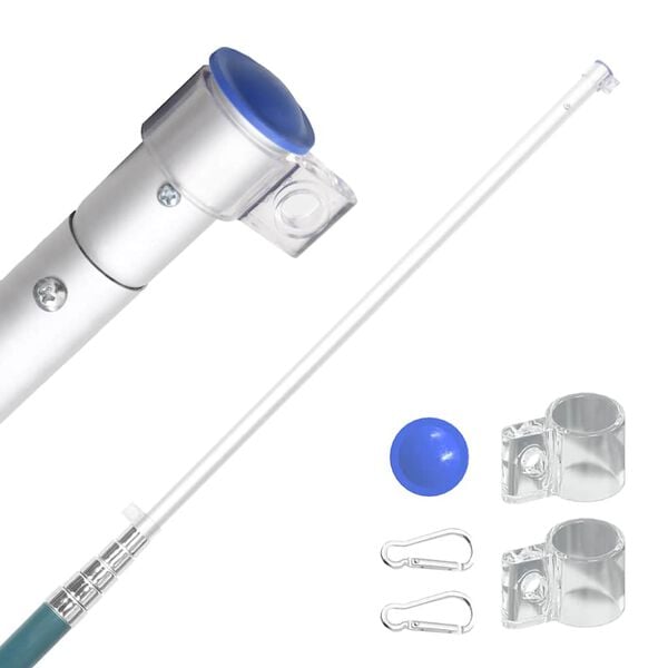 vidaXL Czech Flag and Pole 5.55 m Aluminium