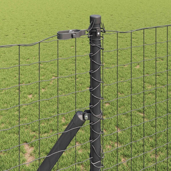 Showing Product Image 3 of 6
