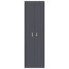vidaXL Storage Cabinet with Storage 2 pcs Anthracite 60 x 40 x200 cm