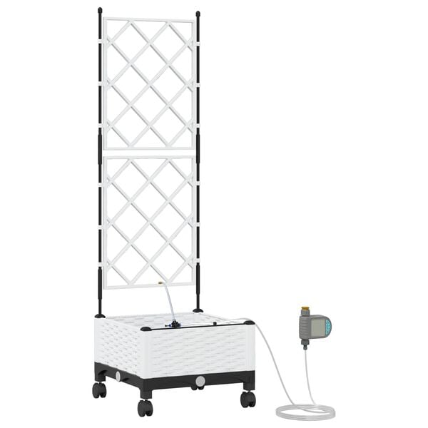 Showing Product Image 1 of 7