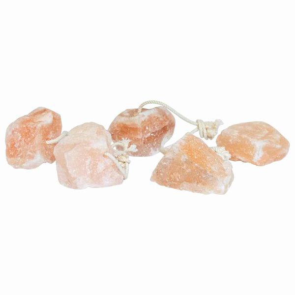 vidaXL Salt Lick Stones Pink Rock salt