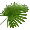 Product Thumbnail Image 4 of 6