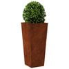 Product Thumbnail Image 3 of 12