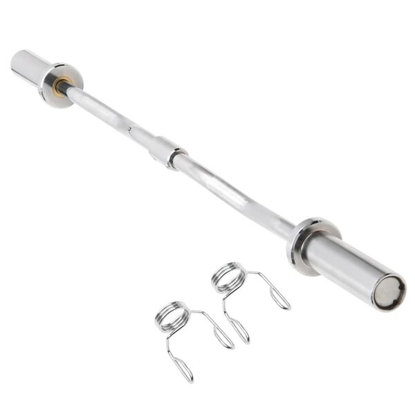 vidaXL Curl Barbell with Plates 30 kg Cast Iron&Chrome Plated Steel