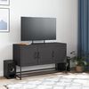 vidaXL TV Cabinet Black 100.5x39x60.5 cm Steel