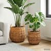 Product Thumbnail Image 2 of 9