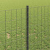 Product Thumbnail Image 4 of 14