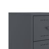 vidaXL Bedside Cabinets 2 pcs Anthracite 36x39x43.5 cm Steel