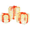 vidaXL Gift Box with 60 LEDs 3 pcs Warm white 20 x 20 x 20 cm Acrylic