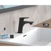 SCH&Uuml;TTE Basin Mixer BOSTON Matte Black