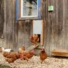 Kerbl Sliding Chicken Coop Door 43x40 cm
