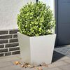 Product Thumbnail Image 2 of 12