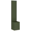 Olive_green