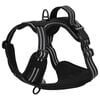 vidaXL Dog Harness with Lead & Collar Adjustable Black L