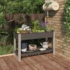 vidaXL Garden Raised Bed with Shelf Grey 120x50x75 cm WPC