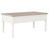 vidaXL Coffee Table White 100x55x45 cm Wood