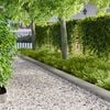 Product Thumbnail Image 2 of 9