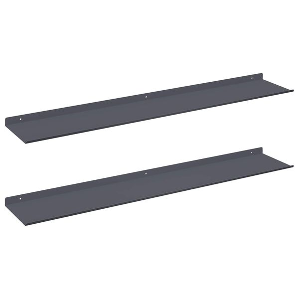 vidaXL Floating Shelf 2 pcs Anthracite 100 x 18 x 2.5 cm Steel
