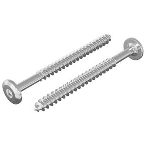 vidaXL Wood Screws 2 pcs Silver M6 x 70 mm Steel