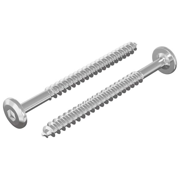 vidaXL Wood Screws 2 pcs Silver M6 x 70 mm Steel