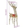 Product Thumbnail Image 11 of 11