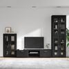 vidaXL TV Cabinet Set with Drawer FLORIN Black Engineered Wood