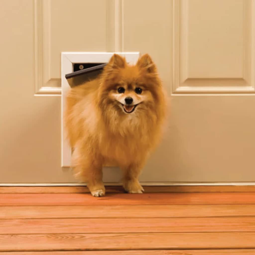 Petsafe dog sales flap medium