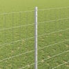 Product Thumbnail Image 4 of 7