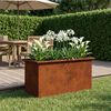 Product Thumbnail Image 3 of 17