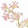 Product Thumbnail Image 2 of 2
