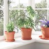 Product Thumbnail Image 4 of 12
