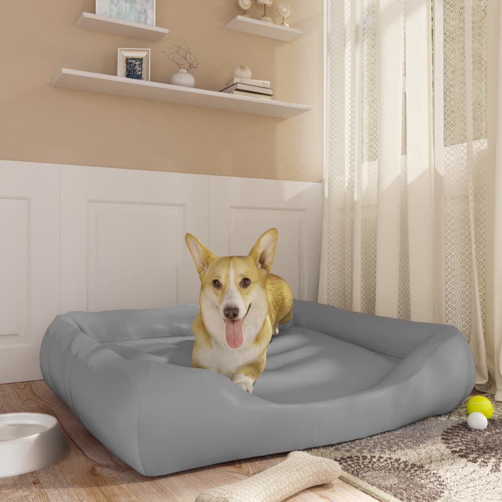 Light grey dogs cheap