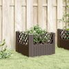 Product Thumbnail Image 3 of 8