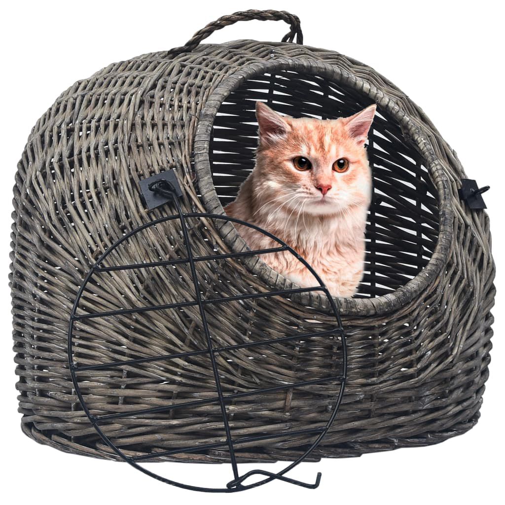 Cat transporter 2025