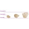 Product Thumbnail Image 12 of 12